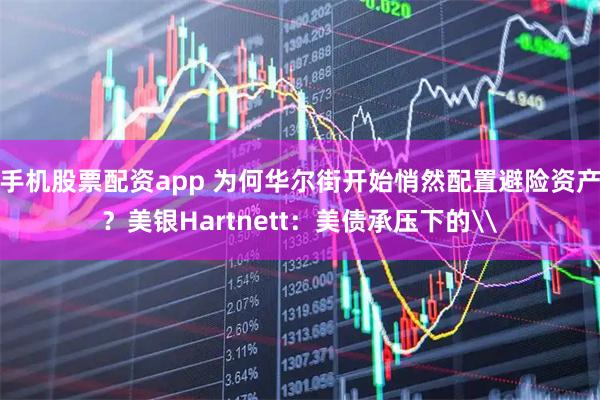 手机股票配资app 为何华尔街开始悄然配置避险资产？美银Hartnett：美债承压下的\