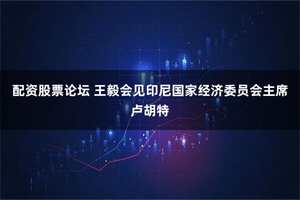 配资股票论坛 王毅会见印尼国家经济委员会主席卢胡特